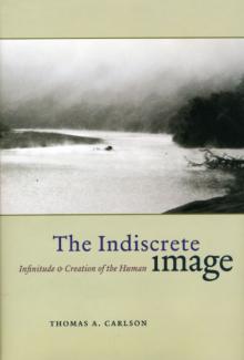 Cover of "The Indiscrete Image"